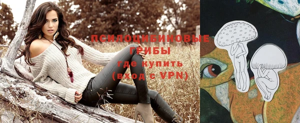 молекула духа Баксан