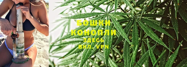 молекула духа Баксан
